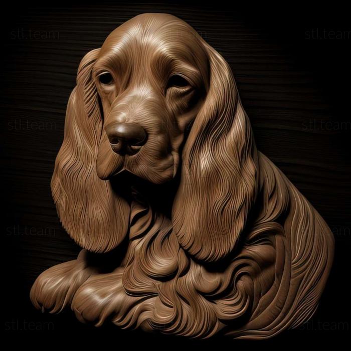 English Cocker Spaniel dog